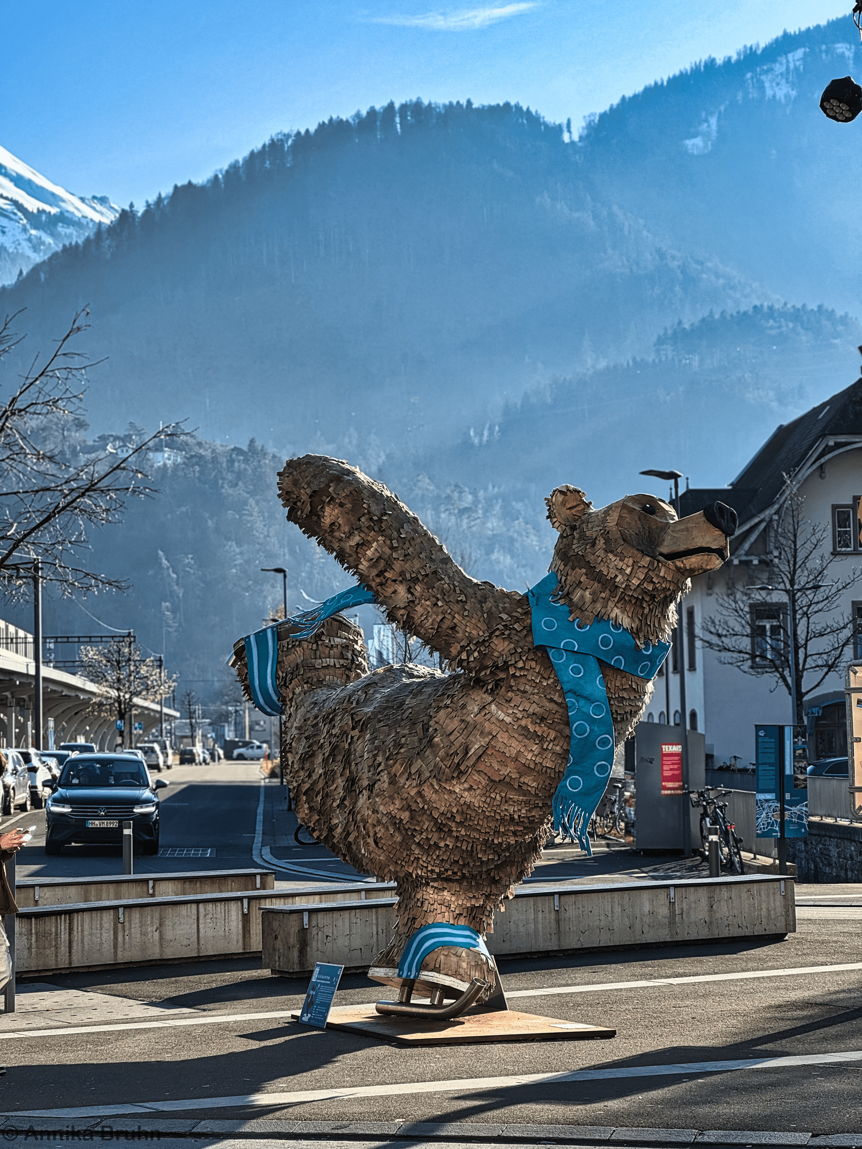 Bruno der Winterbär aus Interlaken